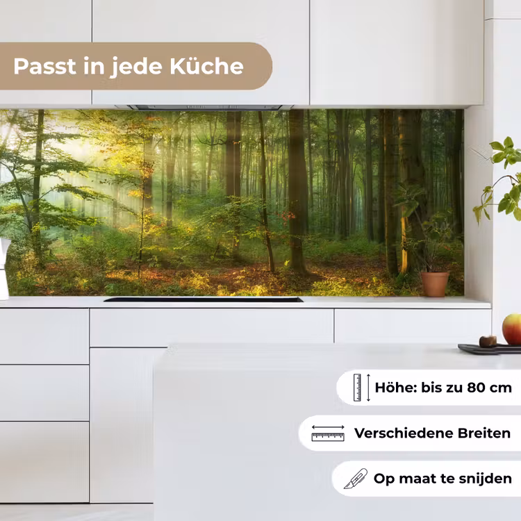 Zon - Bos - Bomen - Natuur - Herfst keuken achterwand 2 middel -sfeer4_DE