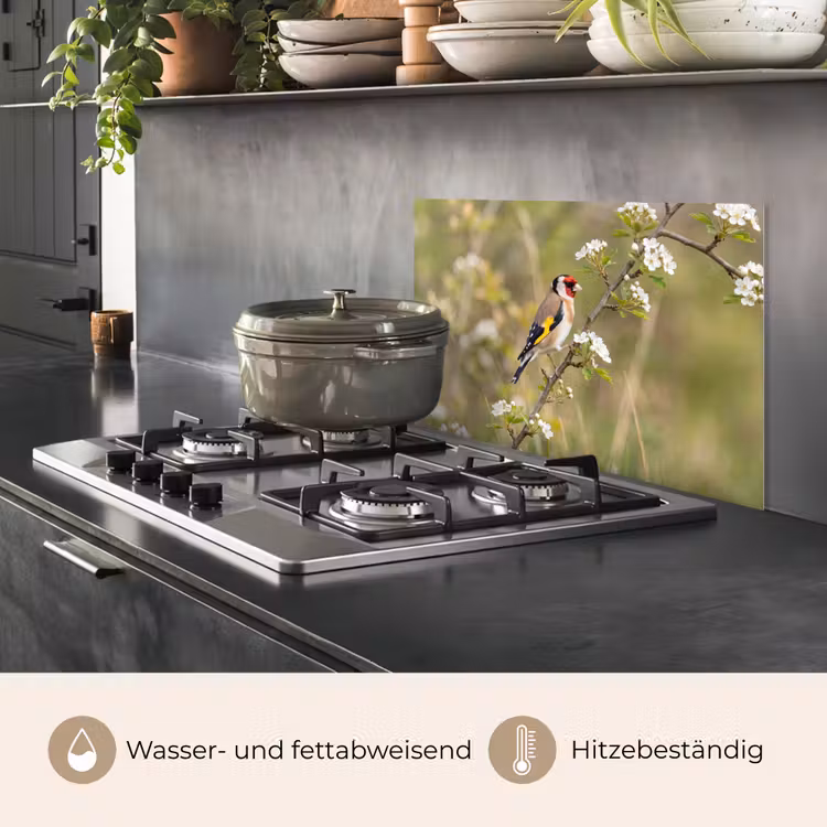 Putter - Bloesem - Lente - Natuur - Kleurrijk keuken achterwand spatscherm klein -usp_DE