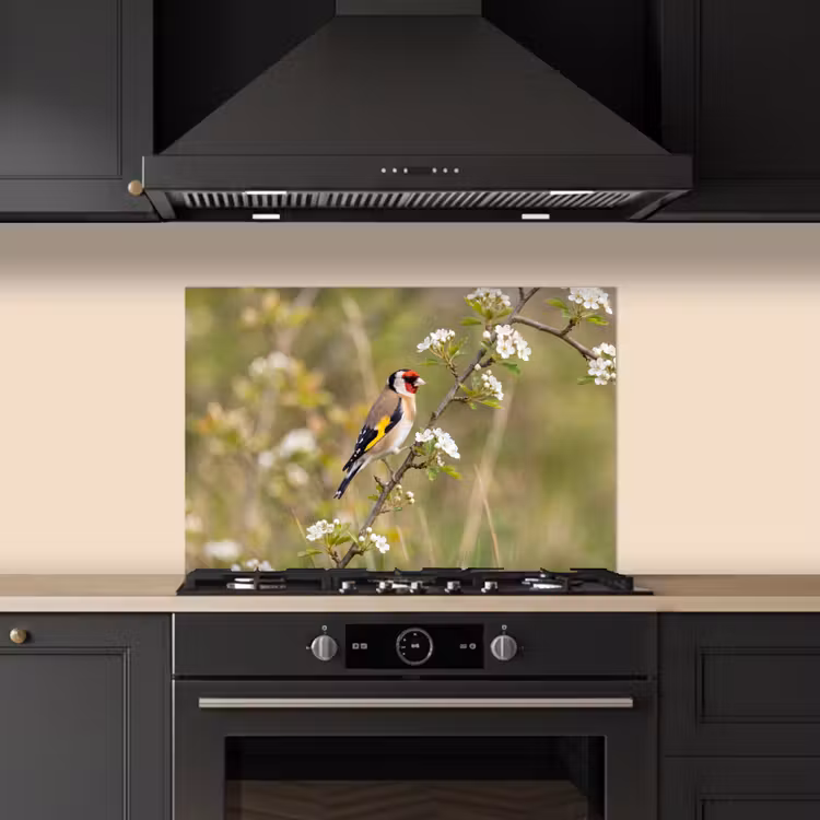 Putter - Bloesem - Lente - Natuur - Kleurrijk keuken achterwand spatscherm klein -sfeer1