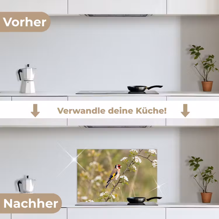 Putter - Bloesem - Lente - Natuur - Kleurrijk keuken achterwand spatscherm klein -voor_na_DE
