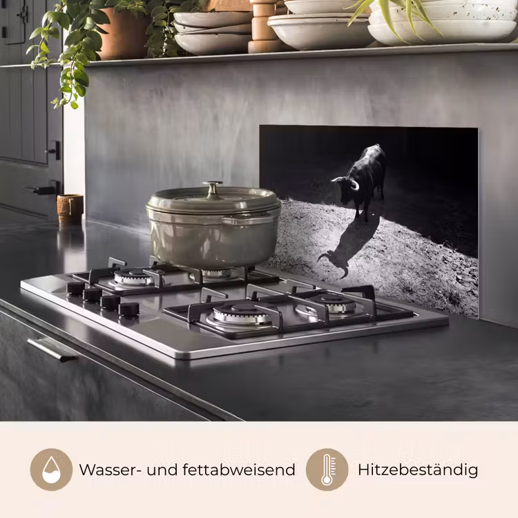 Stier - Schaduw - Dieren - Contrast - Zwart-wit keuken achterwand spatscherm klein -usp_DE