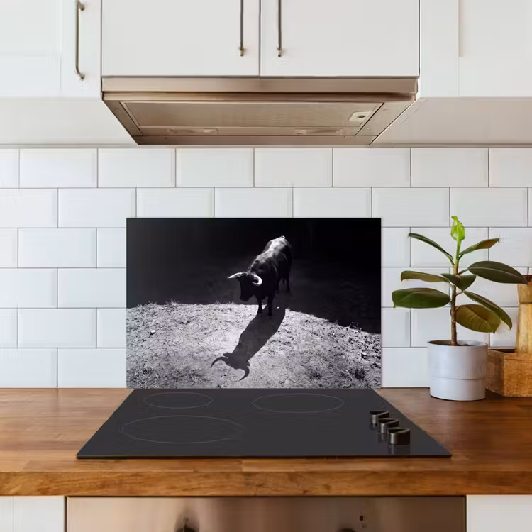 Stier - Schaduw - Dieren - Contrast - Zwart-wit keuken achterwand spatscherm klein -sfeer2