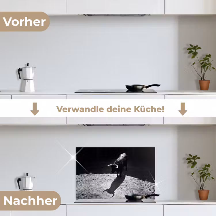 Stier - Schaduw - Dieren - Contrast - Zwart-wit keuken achterwand spatscherm klein -voor_na_DE