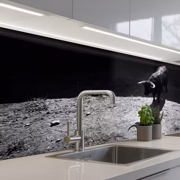 Stier - Schaduw - Dieren - Contrast - Zwart-wit keuken achterwand 2 middel -3d_schuin
