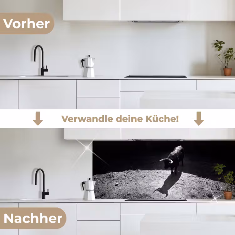 Stier - Schaduw - Dieren - Contrast - Zwart-wit keuken achterwand 2 middel -voor-na_DE