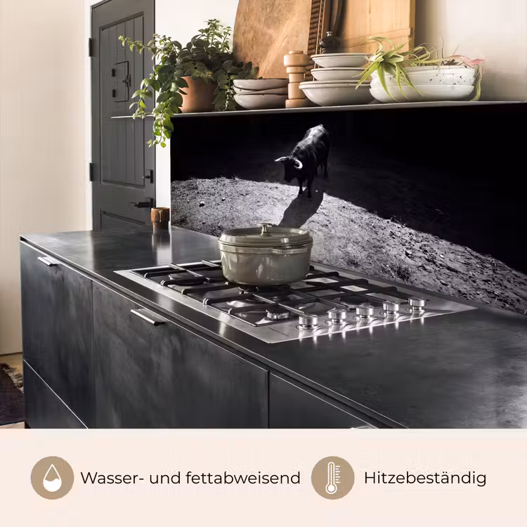 Stier - Schaduw - Dieren - Contrast - Zwart-wit keuken achterwand 2 middel -usp_DE