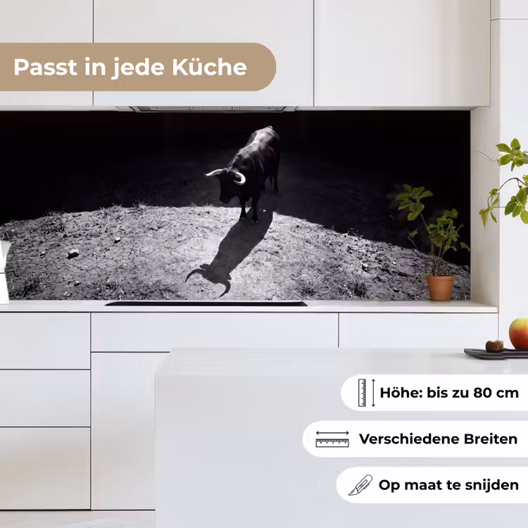 Stier - Schaduw - Dieren - Contrast - Zwart-wit keuken achterwand 2 middel -sfeer4_DE