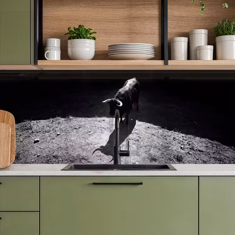 Stier - Schaduw - Dieren - Contrast - Zwart-wit keuken achterwand 2 middel -sfeer3