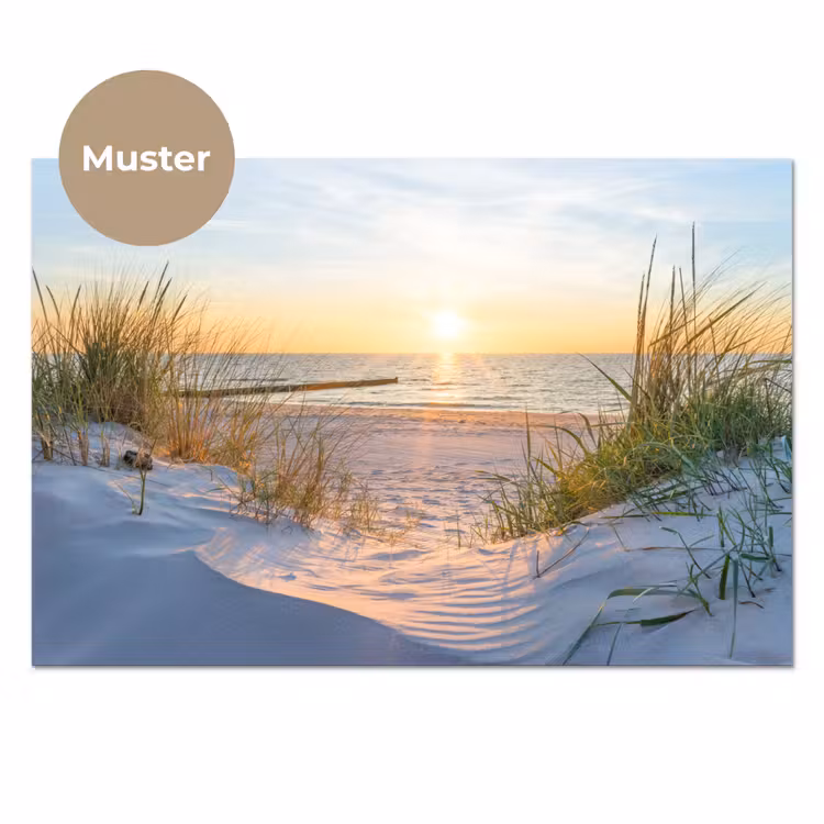 Strand - Zon - Duin - Gras - Zand - Horizon keuken achterwand sample klein -3d_DE