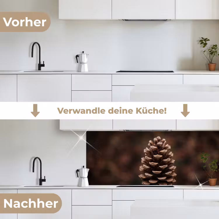 Dennenappel - Bos - Herfst - Bruin - Sfeervol keuken achterwand 2 middel -voor-na_DE