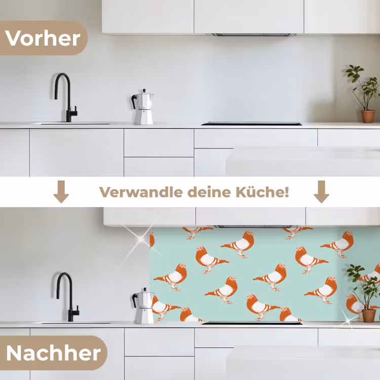 Duif - Vogel - Patroon keuken achterwand 2 middel 871 -voor-na_DE