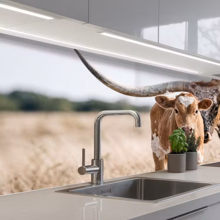 Texas Longhorn - Kalf - Weide - Dieren keuken achterwand 2 middel -3d_schuin