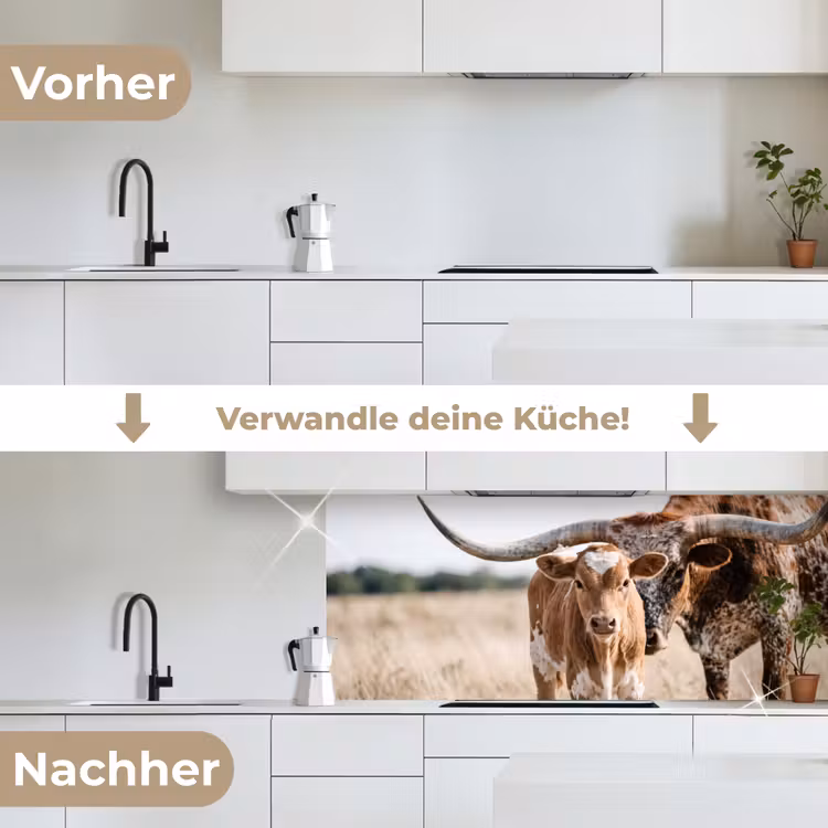Texas Longhorn - Kalf - Weide - Dieren keuken achterwand 2 middel -voor-na_DE