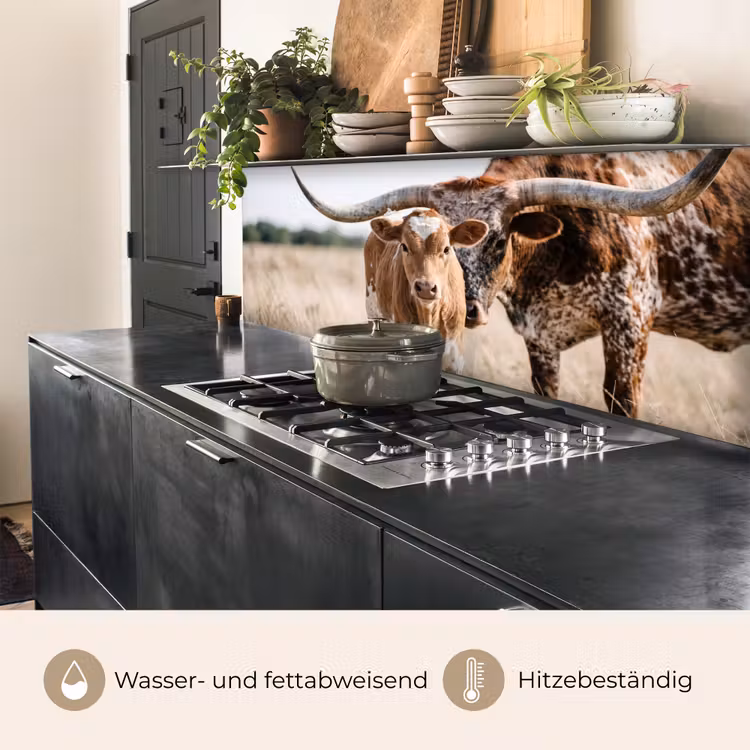 Texas Longhorn - Kalf - Weide - Dieren keuken achterwand 2 middel -usp_DE