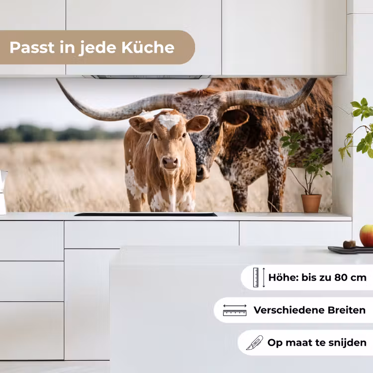 Texas Longhorn - Kalf - Weide - Dieren keuken achterwand 2 middel -sfeer4_DE