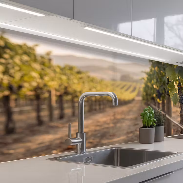 Druiven - Wijngaard - Zonlicht keuken achterwand 2 middel -3d_schuin