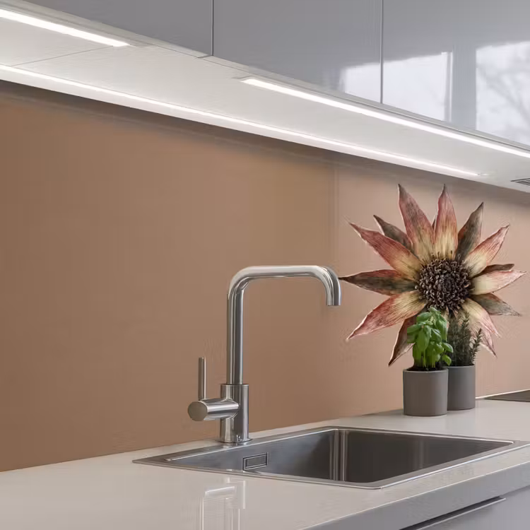 Droogbloem - Protea - Vintage - Beige - Rustiek keuken achterwand 2 middel -3d_schuin