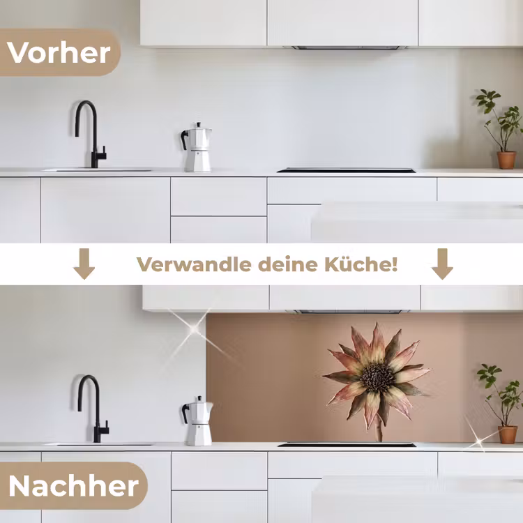 Droogbloem - Protea - Vintage - Beige - Rustiek keuken achterwand 2 middel -voor-na_DE