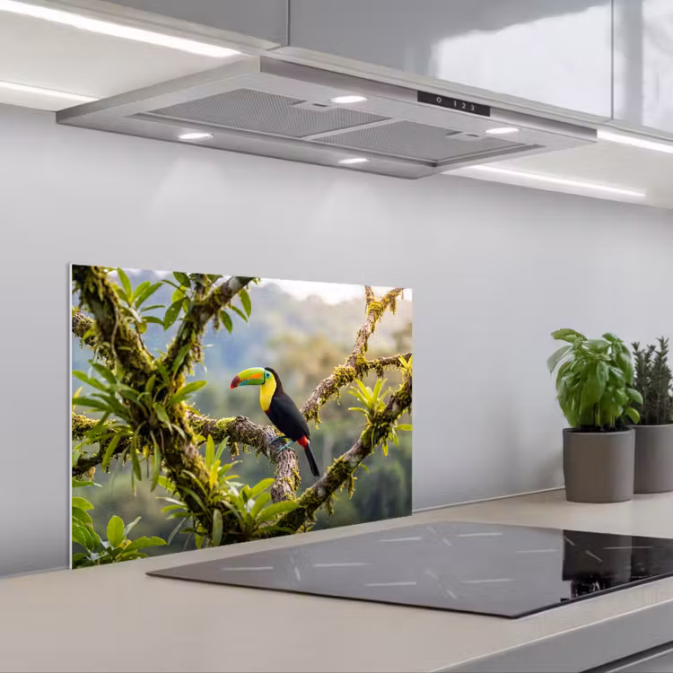 Toekan - Jungle - Natuur - Kleurrijk keuken achterwand spatscherm klein -3d_schuin
