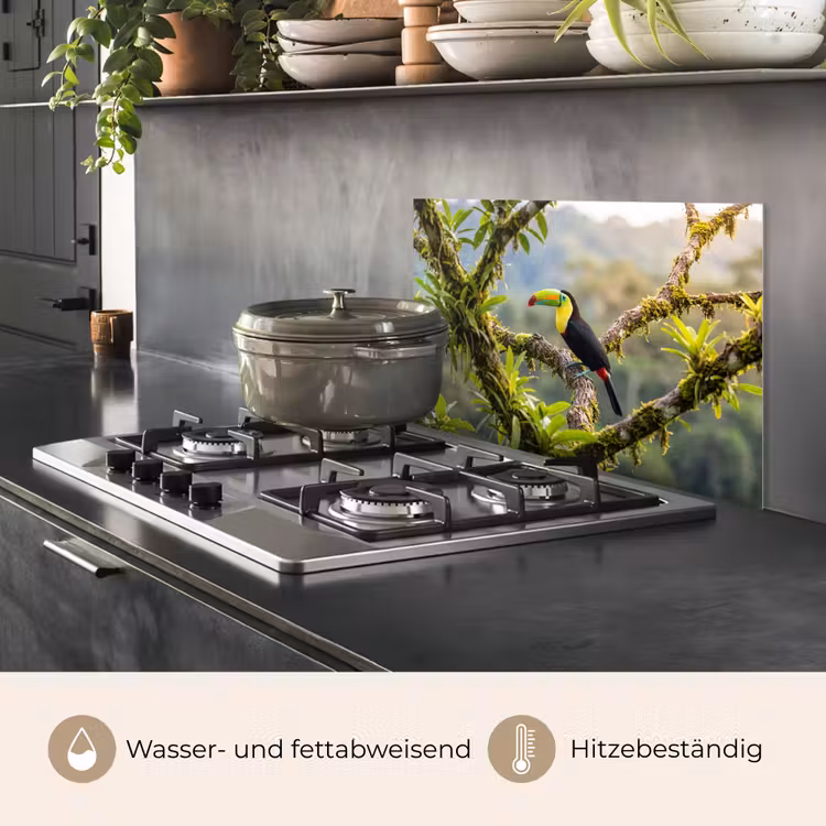 Toekan - Jungle - Natuur - Kleurrijk keuken achterwand spatscherm klein -usp_DE