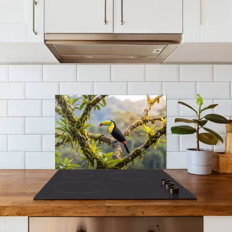 Toekan - Jungle - Natuur - Kleurrijk keuken achterwand spatscherm klein -sfeer2