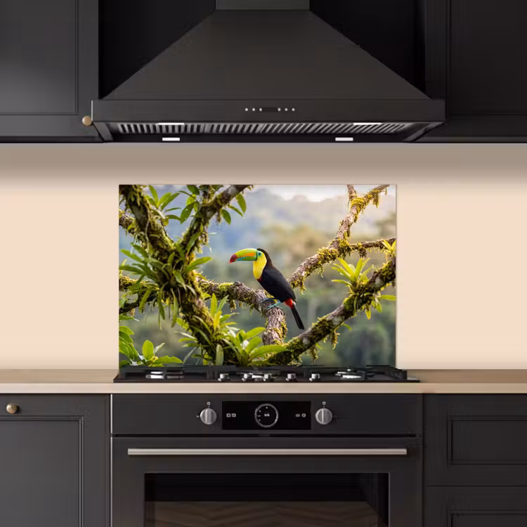 Toekan - Jungle - Natuur - Kleurrijk keuken achterwand spatscherm klein -sfeer1