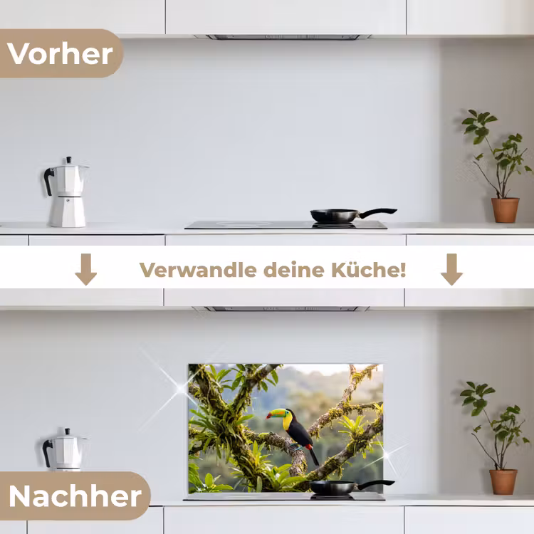 Toekan - Jungle - Natuur - Kleurrijk keuken achterwand spatscherm klein -voor_na_DE
