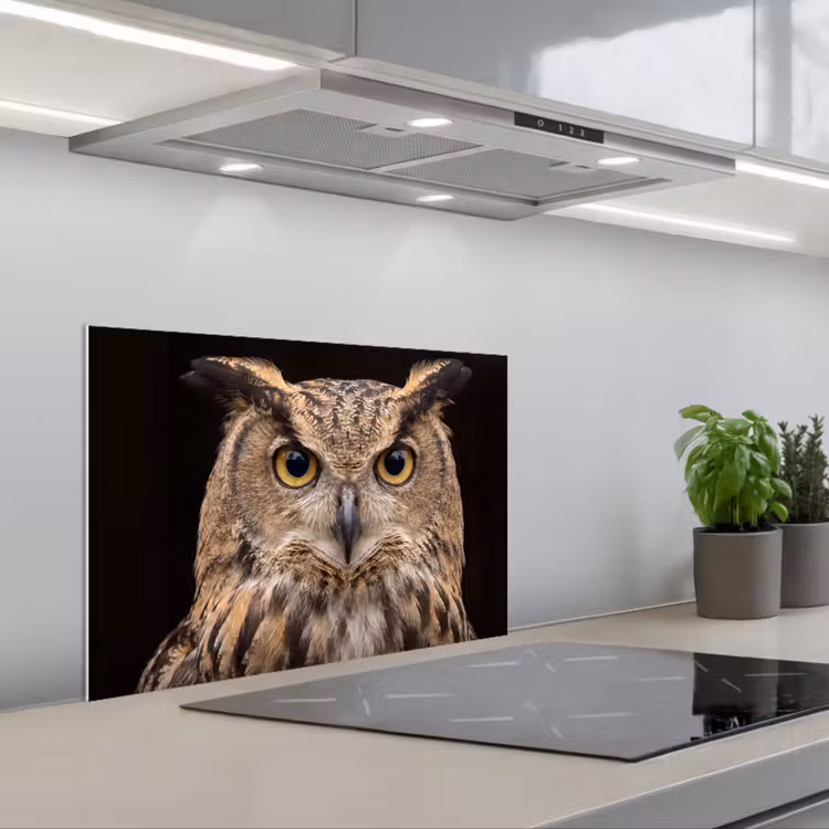Oehoe - Uil - Portret - Bruin keuken achterwand spatscherm klein -3d_schuin