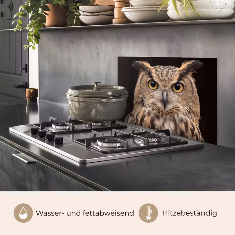 Oehoe - Uil - Portret - Bruin keuken achterwand spatscherm klein -usp_DE
