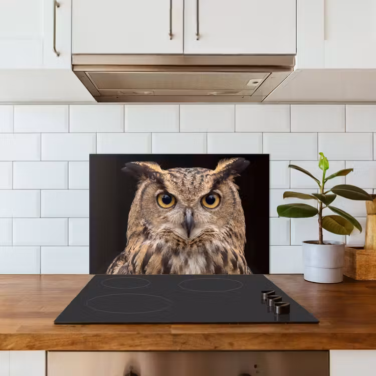 Oehoe - Uil - Portret - Bruin keuken achterwand spatscherm klein -sfeer2