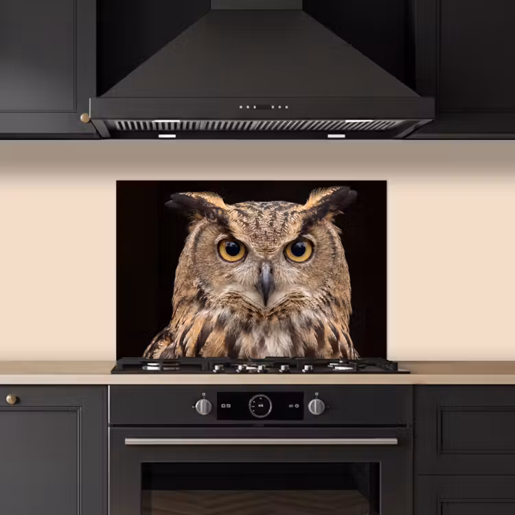 Oehoe - Uil - Portret - Bruin keuken achterwand spatscherm klein -sfeer1
