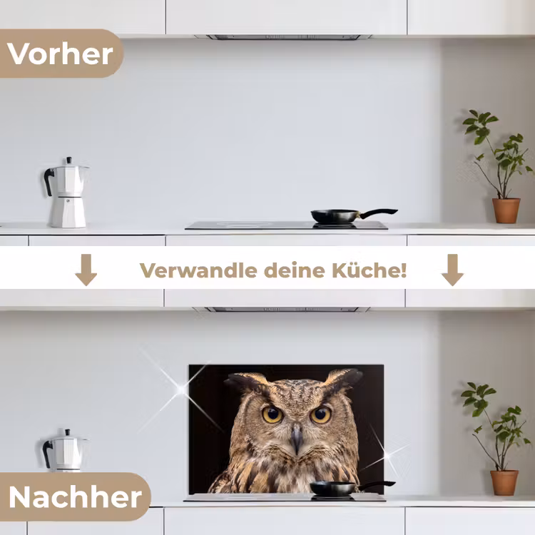 Oehoe - Uil - Portret - Bruin keuken achterwand spatscherm klein -voor_na_DE