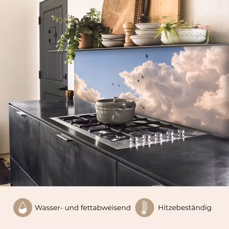 Vogel - Vlucht - Wolken - Natuur - Blauw keuken achterwand 2 middel -usp_DE