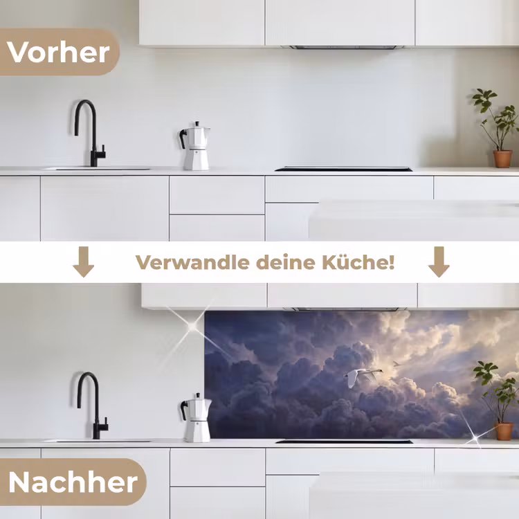 Vogel - Vliegend - Natuur - Wit - Wolken keuken achterwand 2 middel -voor-na_DE