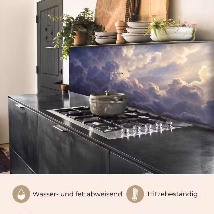 Vogel - Vliegend - Natuur - Wit - Wolken keuken achterwand 2 middel -usp_DE