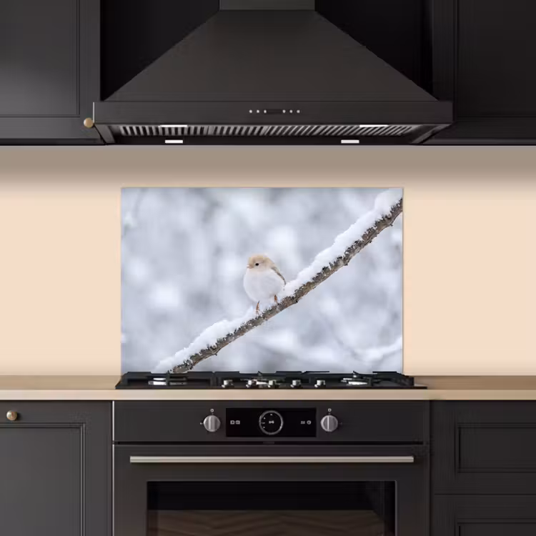 Vogeltje - Sneeuw - Tak - Winter - Zacht keuken achterwand spatscherm klein -sfeer1
