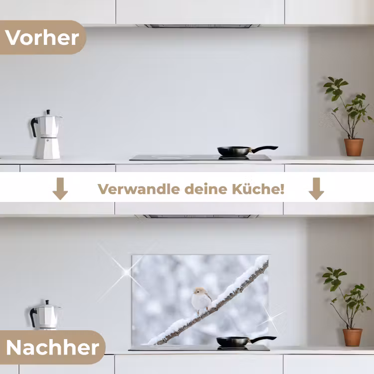 Vogeltje - Sneeuw - Tak - Winter - Zacht keuken achterwand spatscherm klein -voor_na_DE