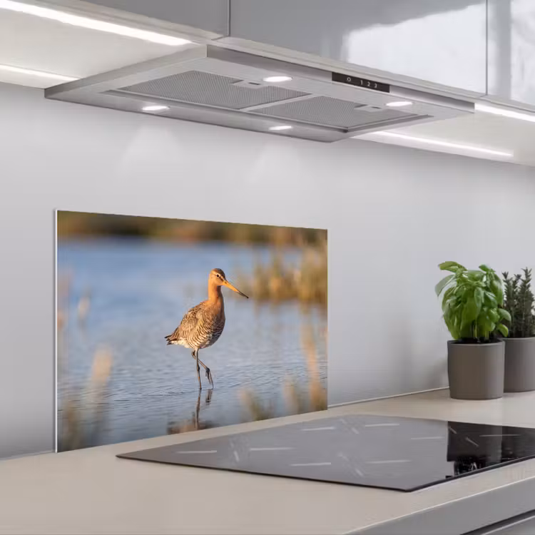 Vogel - Steltloper - Water - Natuur keuken achterwand spatscherm klein -3d_schuin