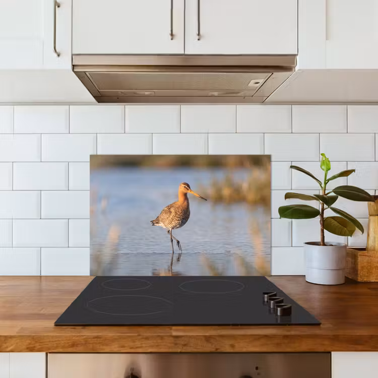 Vogel - Steltloper - Water - Natuur keuken achterwand spatscherm klein -sfeer2