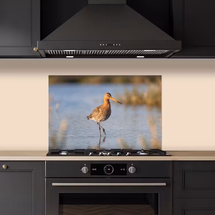 Vogel - Steltloper - Water - Natuur keuken achterwand spatscherm klein -sfeer1