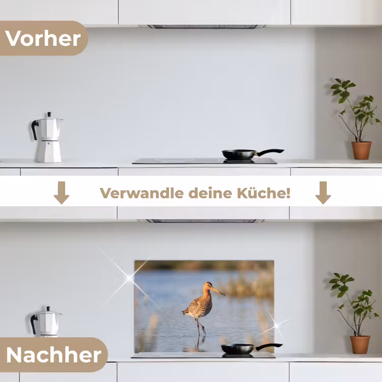Vogel - Steltloper - Water - Natuur keuken achterwand spatscherm klein -voor_na_DE