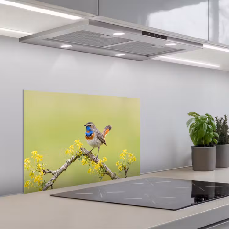 Vogel - Tak - Natuur - Kleurrijk keuken achterwand spatscherm klein -3d_schuin