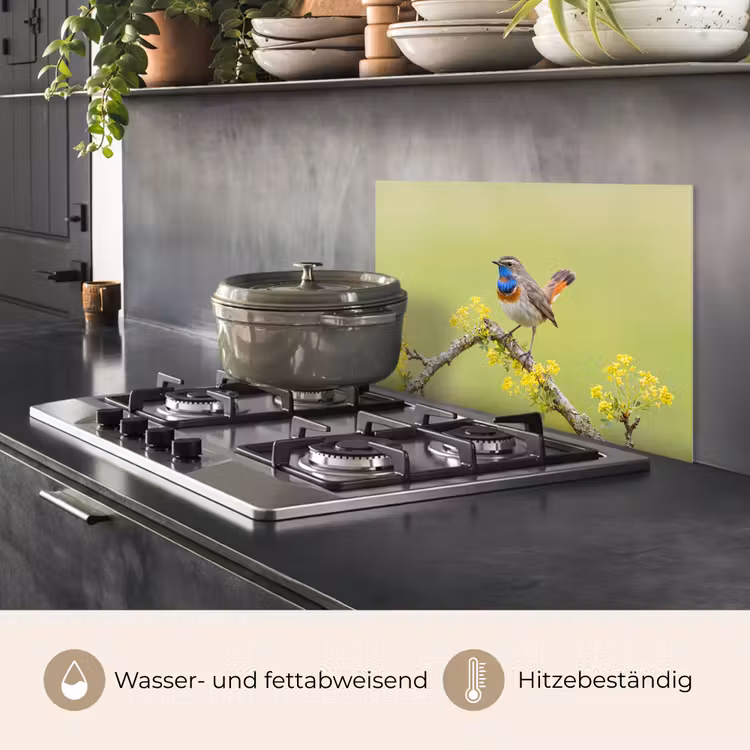 Vogel - Tak - Natuur - Kleurrijk keuken achterwand spatscherm klein -usp_DE