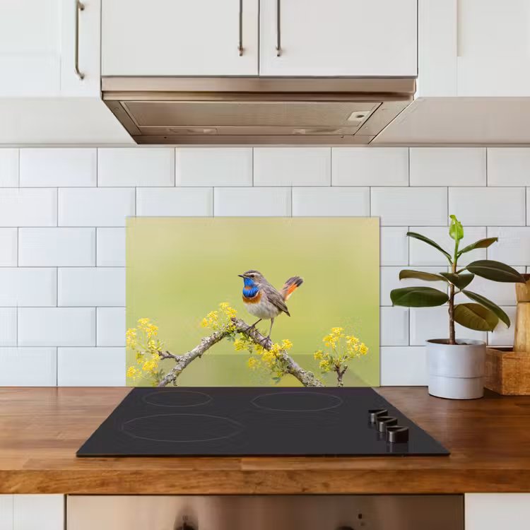 Vogel - Tak - Natuur - Kleurrijk keuken achterwand spatscherm klein -sfeer2