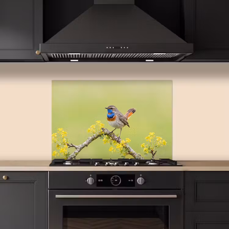 Vogel - Tak - Natuur - Kleurrijk keuken achterwand spatscherm klein -sfeer1