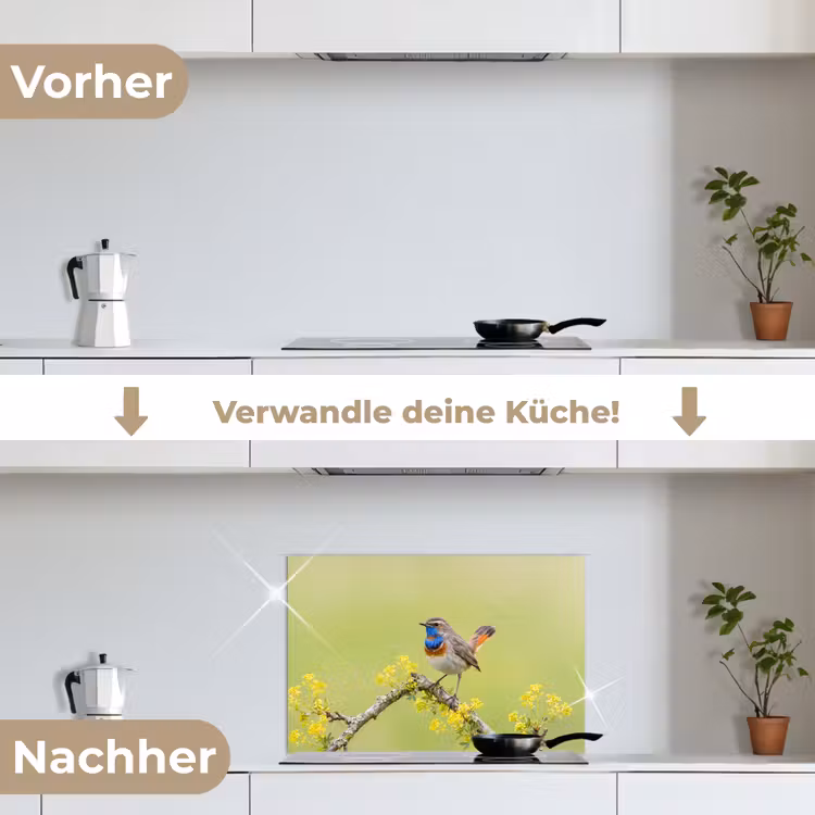 Vogel - Tak - Natuur - Kleurrijk keuken achterwand spatscherm klein -voor_na_DE