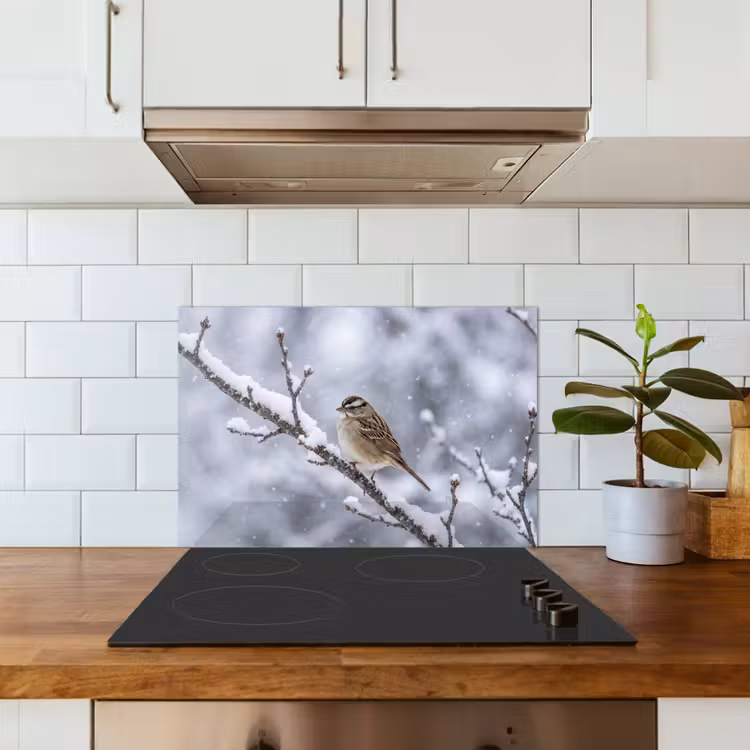 Vogel - Tak - Sneeuw - Winter keuken achterwand spatscherm klein -sfeer2