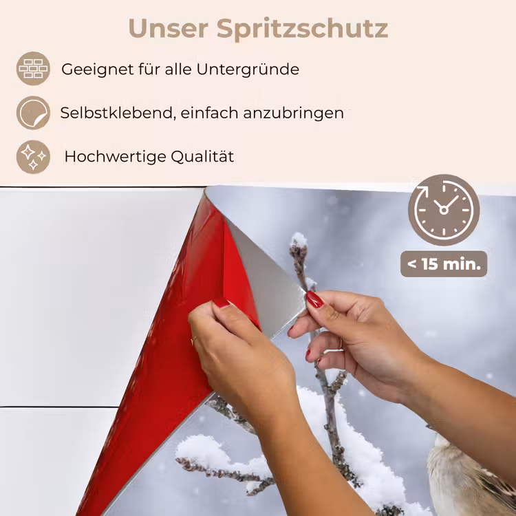 Vogel - Tak - Sneeuw - Winter keuken achterwand spatscherm klein -spatscherm_DE