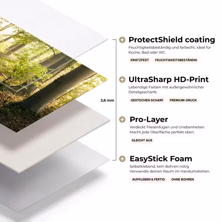 Bos - Bomen - Pad - Zon - Planten - Bladeren - Natuur keuken achterwand sample klein -USP_lagenDE