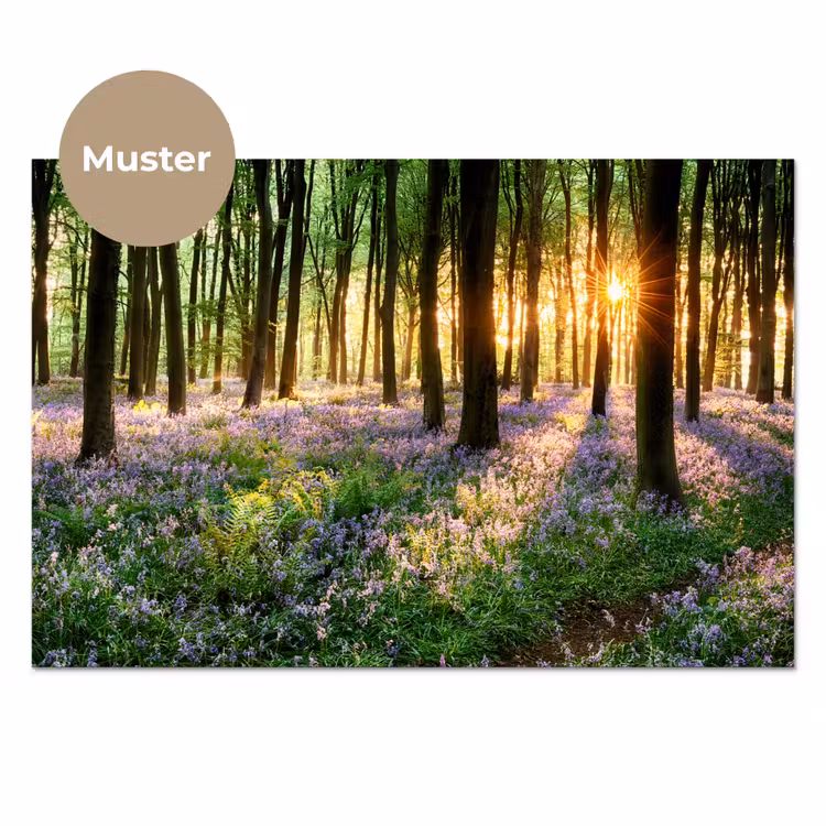 Bos - Bloemen - Lavendel - Zon - Paars - Natuur keuken achterwand sample klein -3d_DE